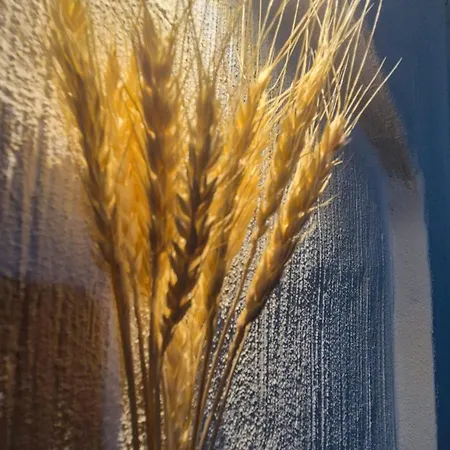 Borgo Antico - Paglia D'oro *